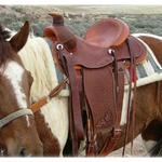 Rancher - all dark, silver conchos, full basket weave, oak leaves on seat and fenders, cheyenne roll, full double rigging